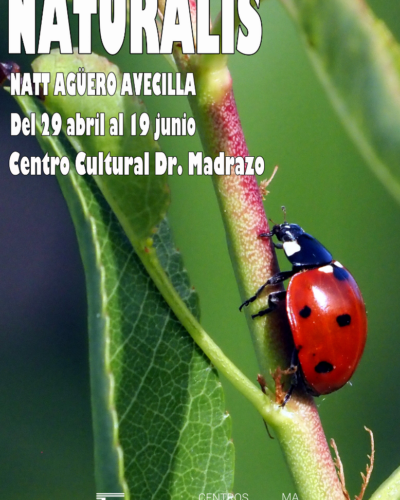 Exposición Naturalis en Centro Cultural Doctor Madrazo