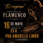 Concierto de flamenco en el Pub Amarillo Limón