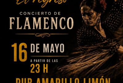 Concierto de flamenco en el Pub Amarillo Limón