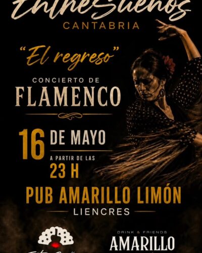 Concierto de flamenco en el Pub Amarillo Limón