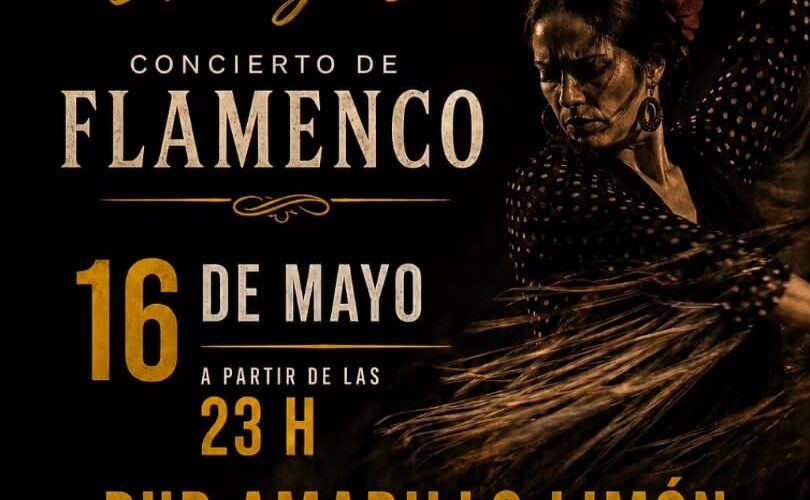 Concierto de flamenco en el Pub Amarillo Limón