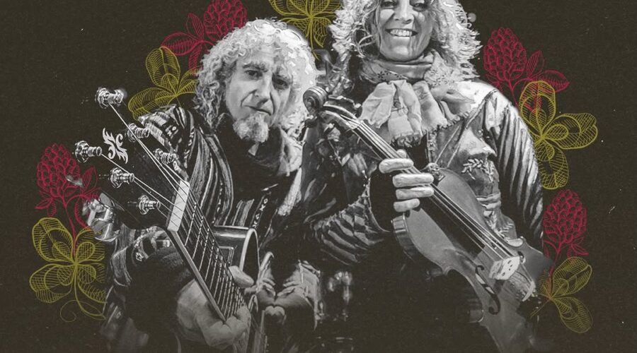 ZREE MUSIC en directo en pub Anticuario