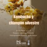 Taller de fermentación (Kombuchas y champán silvestre)