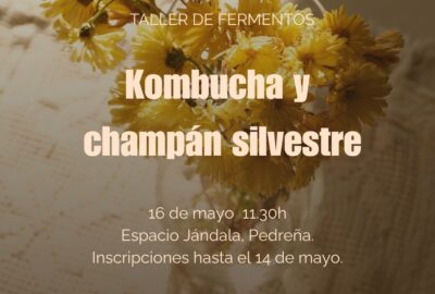 Taller de fermentación (Kombuchas y champán silvestre)