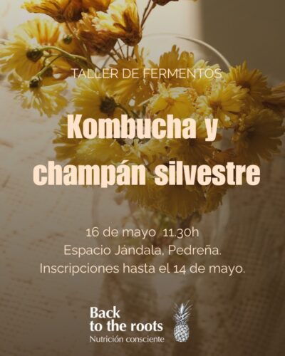 Taller de fermentación (Kombuchas y champán silvestre)