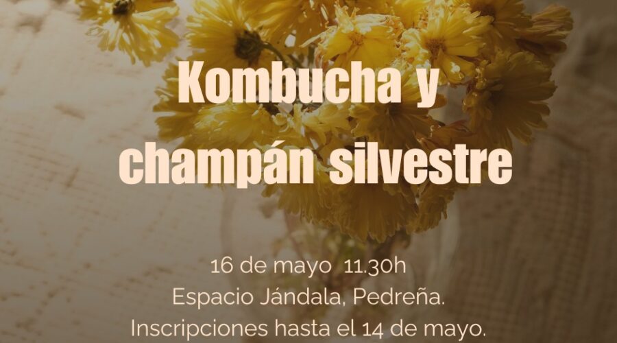 Taller de fermentación (Kombuchas y champán silvestre)