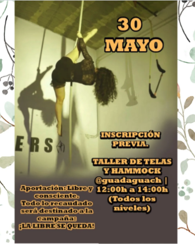 Taller de Telas Aéreas y Hammock en La Musa Azul