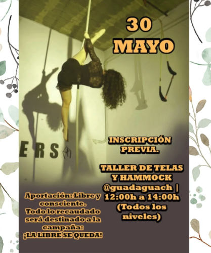 Taller de Telas Aéreas y Hammock en La Musa Azul