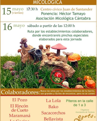 Jornada cultural-divulgativa micológica en Cueto