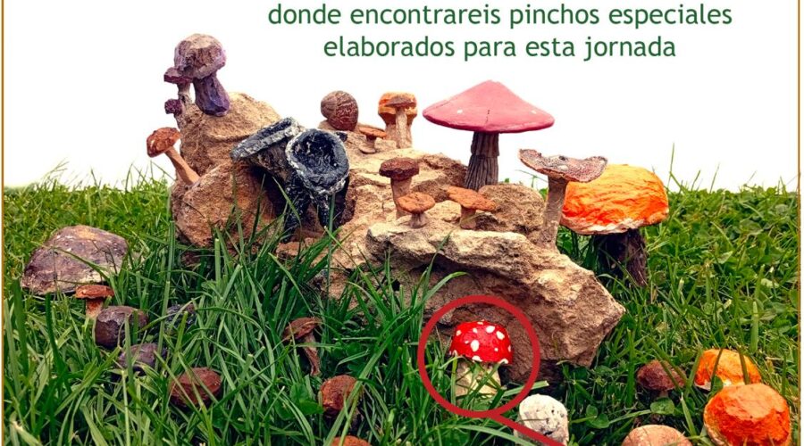 Jornada cultural-divulgativa micológica en Cueto