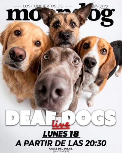 DEAF DOGS en directo en monolog, Santander