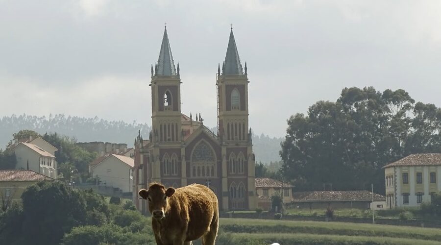 Bolao Folk en Cóbreces 2026