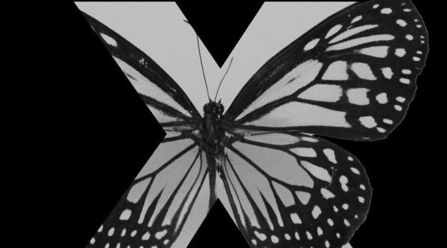 TEDxCesine 2026: “Regénesis” en Santander
