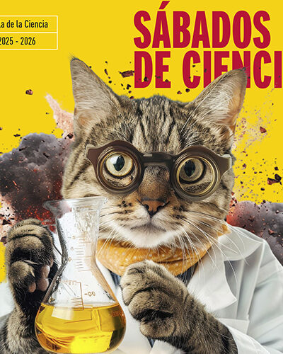 Taller Microscopio: La Célula en