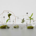 Taller Del objeto al ecosistema: Yuko Mohri y biodiseño