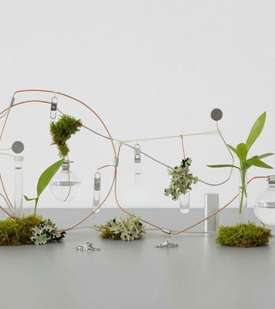Taller Del objeto al ecosistema: Yuko Mohri y biodiseño