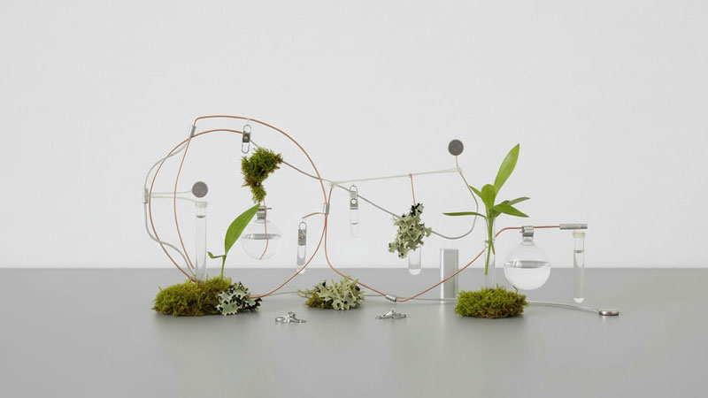 Taller Del objeto al ecosistema: Yuko Mohri y biodiseño