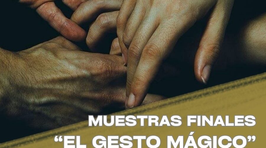 Muestra de la Escuela Internacional de Mimo Nouveau Colombier
