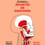 Presentación de «Apuntes de Anatomía» de Paulino Herrera en Santander