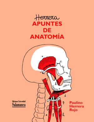 Presentación de «Apuntes de Anatomía» de Paulino Herrera en Santander