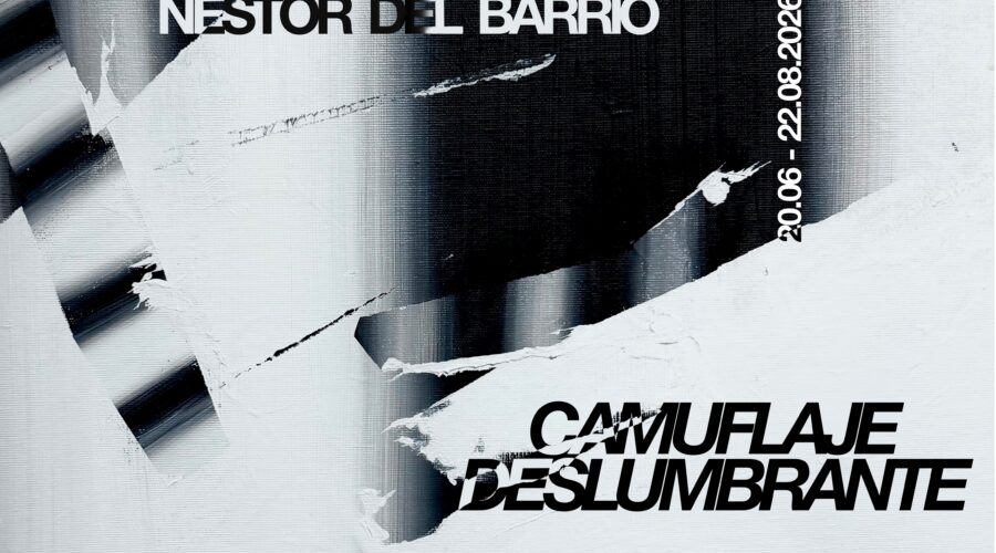 Inauguración Camuflaje Deslumbrante de Néstor del Barrio en MECHA