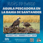 Ruta en barco Águila Pescadora en la Bahía de Santander