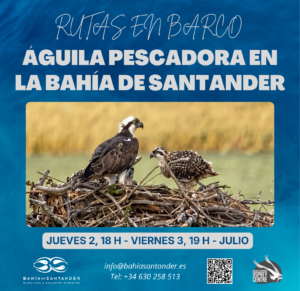 Ruta en barco Águila Pescadora en la Bahía de Santander