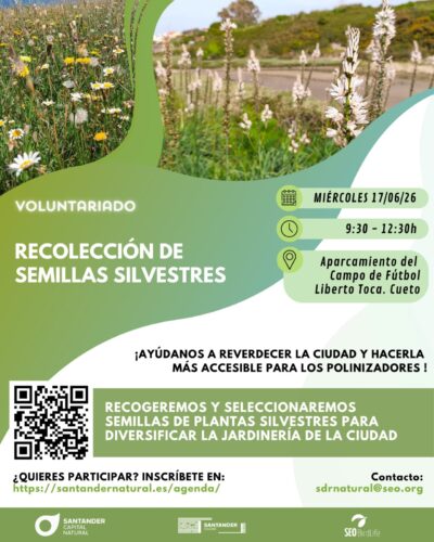 Voluntariado ambiental: asilvestrar espacios verdes en Santander