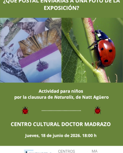 Taller infantil en la clausura de Naturalis en el Centro Doctor Madrazo