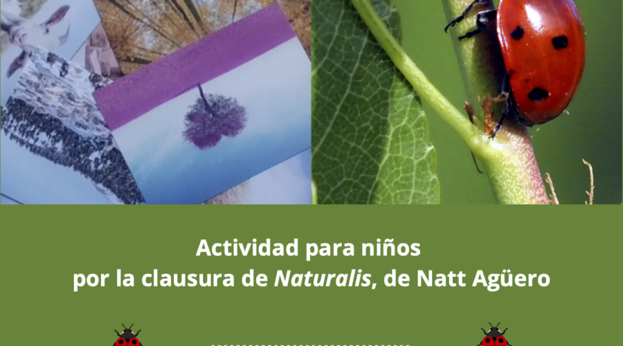 Taller infantil en la clausura de Naturalis en el Centro Doctor Madrazo