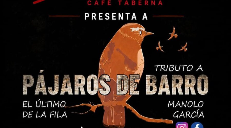 Pájaros De Barro en El Surtidor Café Taberna