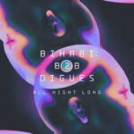 Bihabi B2B Digues en Sala Niágara, Santander