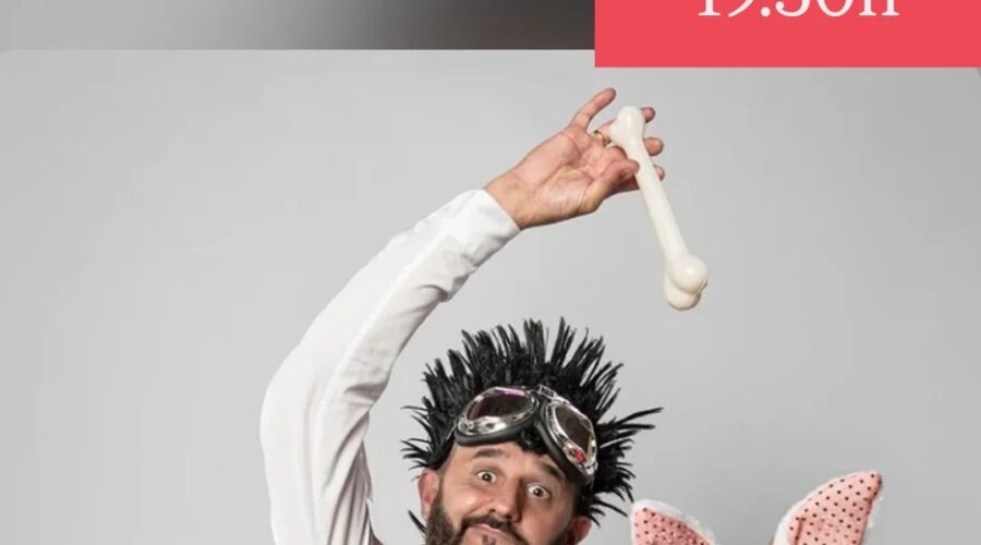 Espectáculo de Magia de El Mago Patxi en Arenal