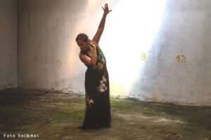Taller Intensivo de Flamenco Ad Libitum en Santander