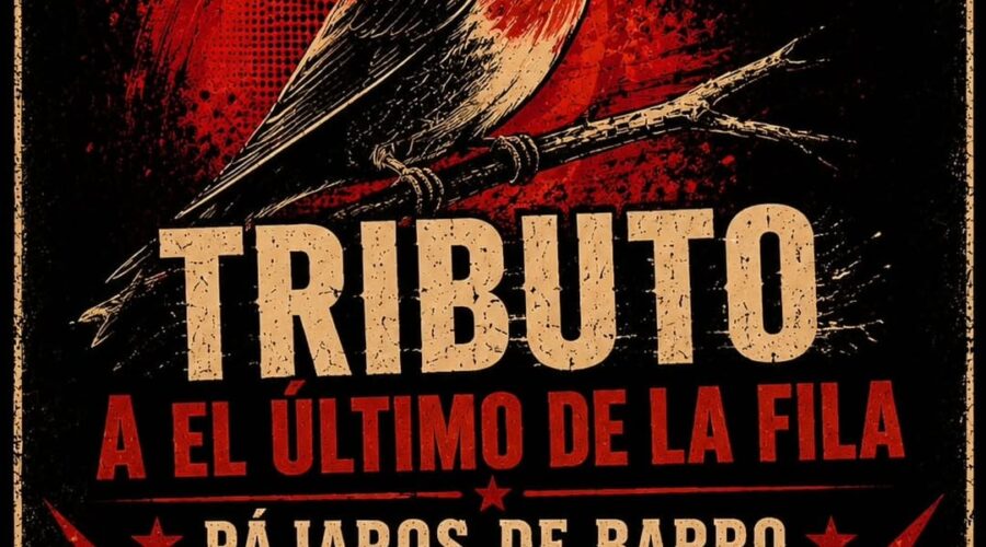 Pájaros de Barro en directo en La tienda de Fina