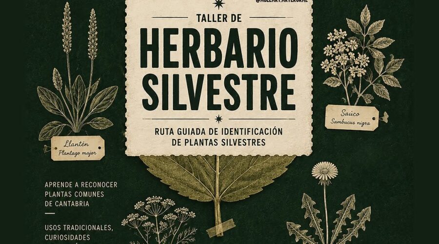 Talleres de Plantas Silvestres en Casa Gótica, Mazcuerras