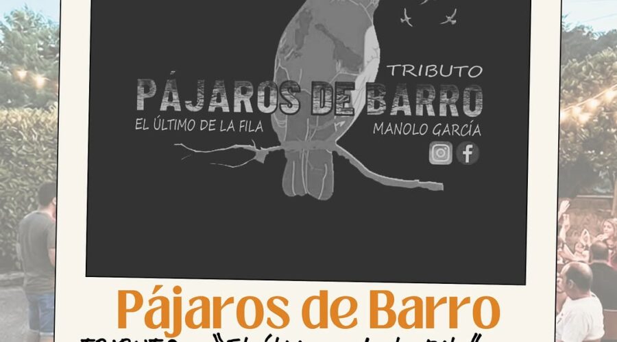 Concierto de Pájaros de Barro en La Jontoya, Luey