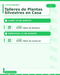 Talleres de Plantas Silvestres en Casa Gótica, Mazcuerras