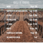 Ciclo de cortos Festival Rueda Con Rueda en Filmoteca