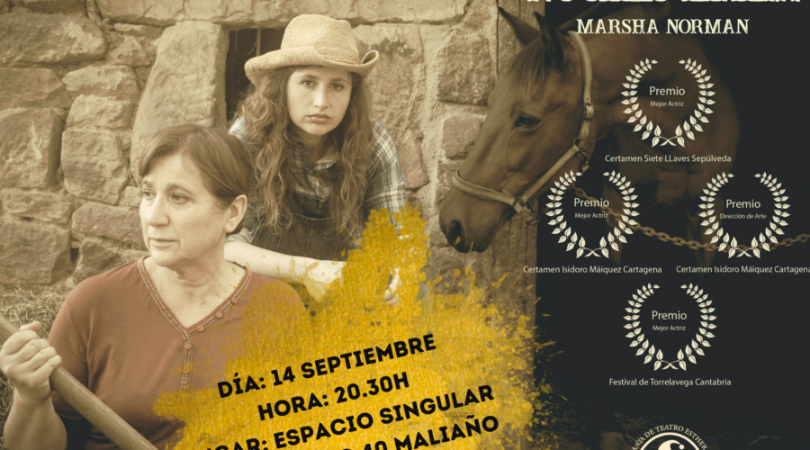 Representación de teatro – Buenas noches – mama