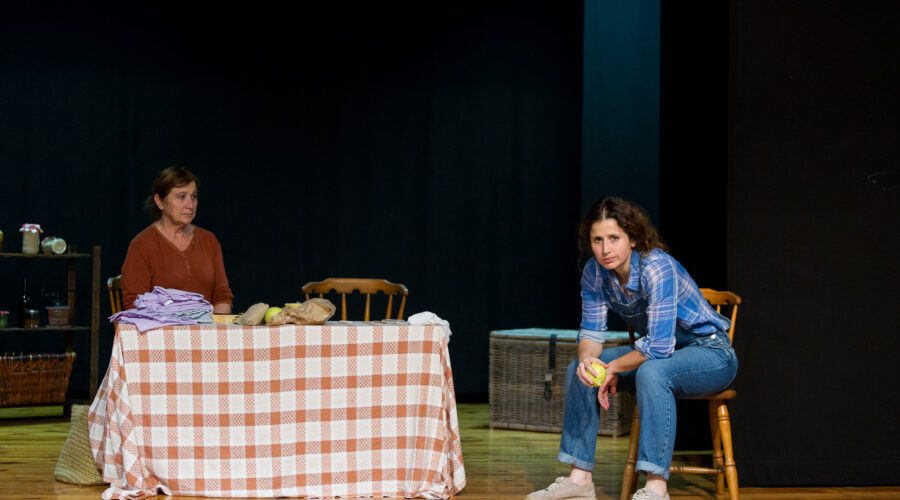 Representación de teatro – Buenas noches – mama
