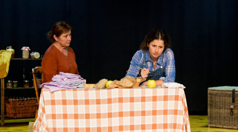 Representación de teatro – Buenas noches – mama