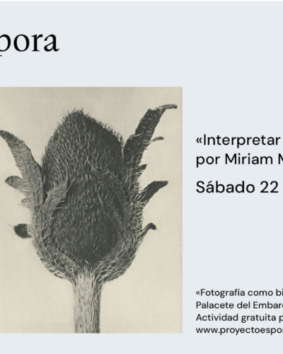 Visita guiada: Fotografía como biografía. Colección Lola Garrido