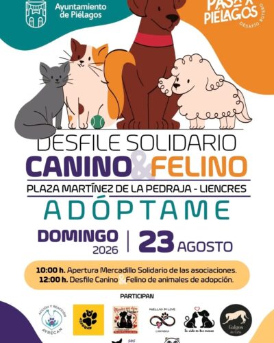 Desfile Solidario Canino & Felino en Liencres 2026