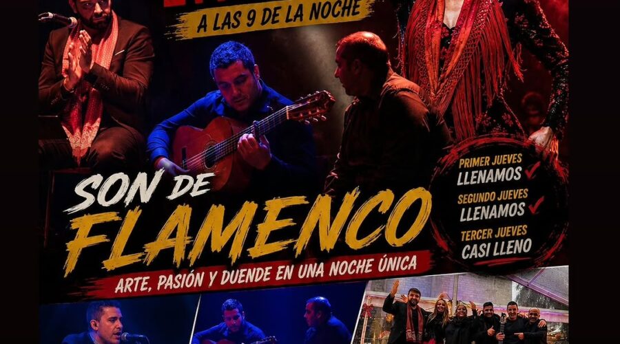 Son de Flamenco en Casa Velarde, Bustio