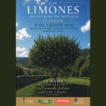 XV Fiesta de los Limones Solidarios en Novales
