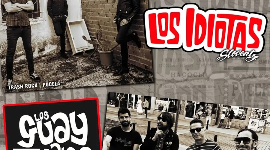 Concierto de The New 1987 y Los Idiotas en RockBeer The New