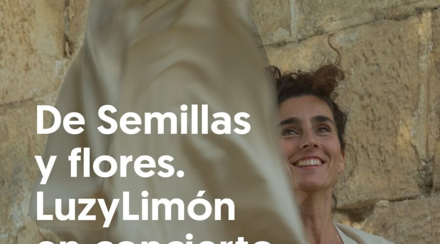 LuzyLimón en directo en Voragine Librería, Santander
