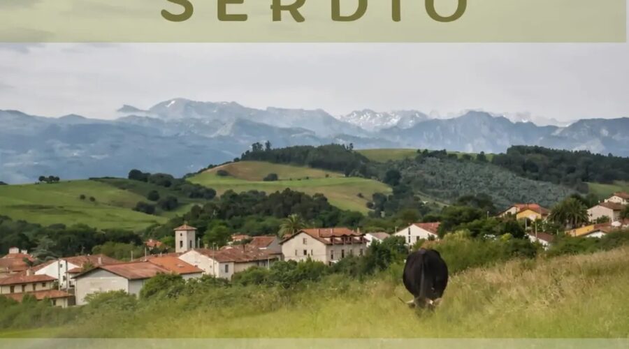 XXXII Mercadillo Anual de Val de San Vicente en SERDIO