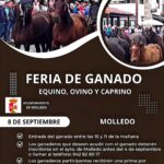 Feria de Ganado Equino, Ovino y Caprino en Molledo 2026